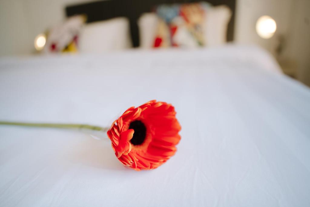 B&B Chiangrai - Resim 39