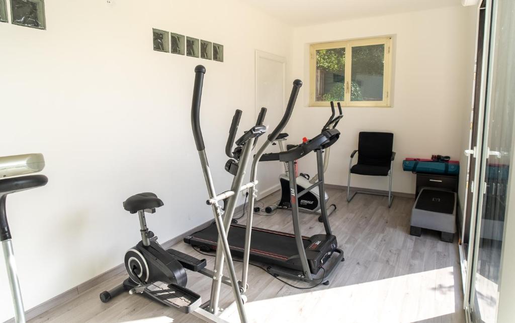 Fitness centrum a/nebo fitness zařízení v ubytování La Colombière