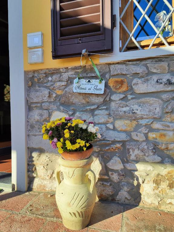 Fotografie z fotogalerie ubytování B&B Toringo v destinaci Capannori