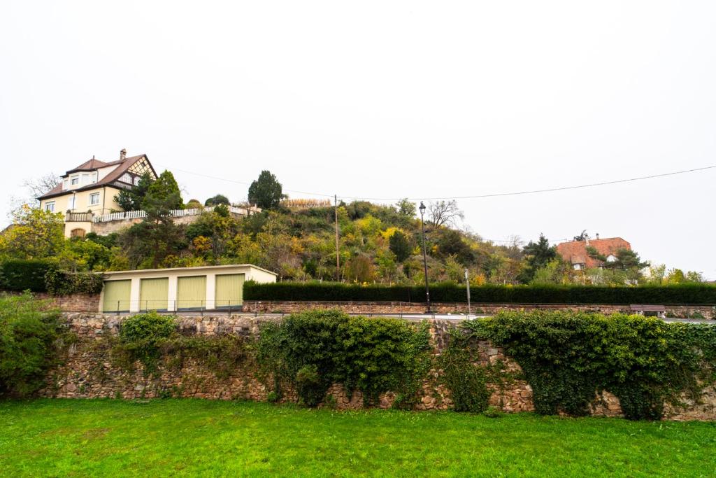 Refuge des Vignerons - Turckheim – photo 41