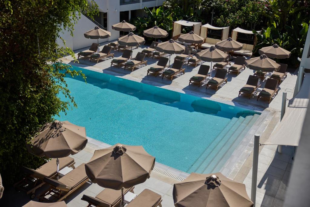 an overhead view of a swimming pool with chairs and umbrellas at Nissi Park Hotel in Ayia Napa
