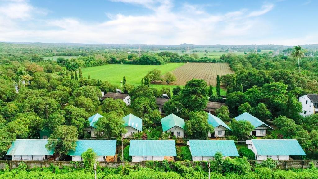 Příroda nedaleko rezortu