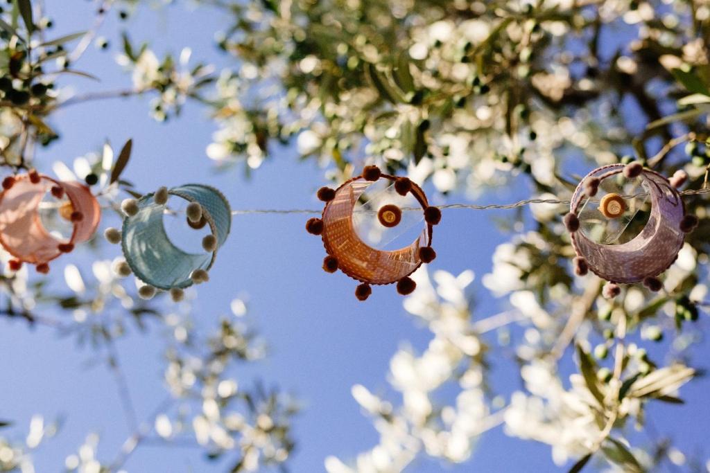 Fotografie z fotogalerie ubytování B&B Rosa Dalfonsina v destinaci Villalfonsina