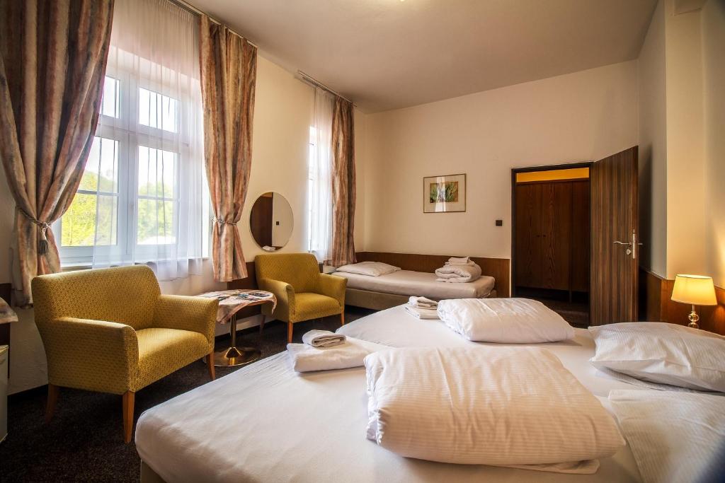 Fotografie z fotogalerie ubytování Hotel Skála v Malé Skále