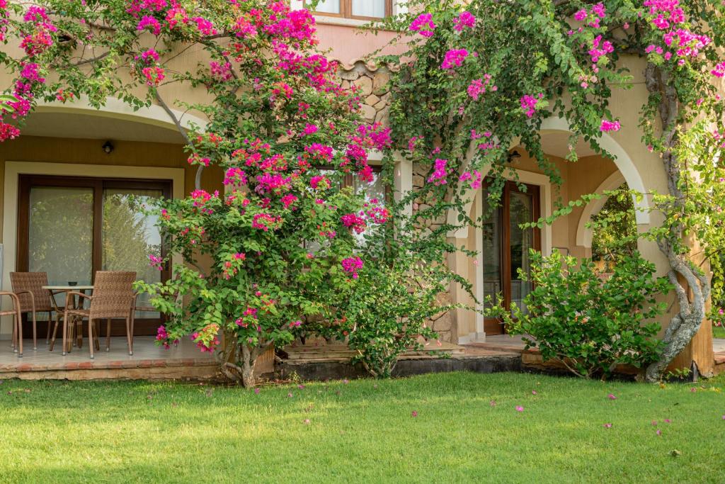 Hotel Mariposas - 15