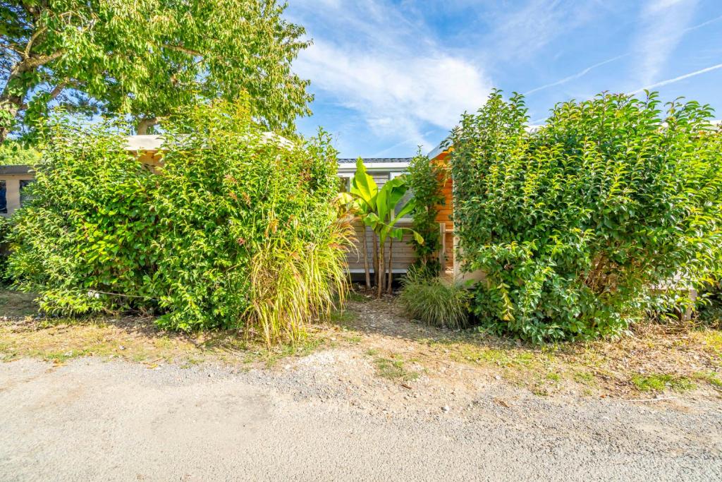 a group of bushes in front of a house at Camping Paradis 4 étoiles A La Corniche La Rochelle Angoulins in Angoulins-sur-Mer