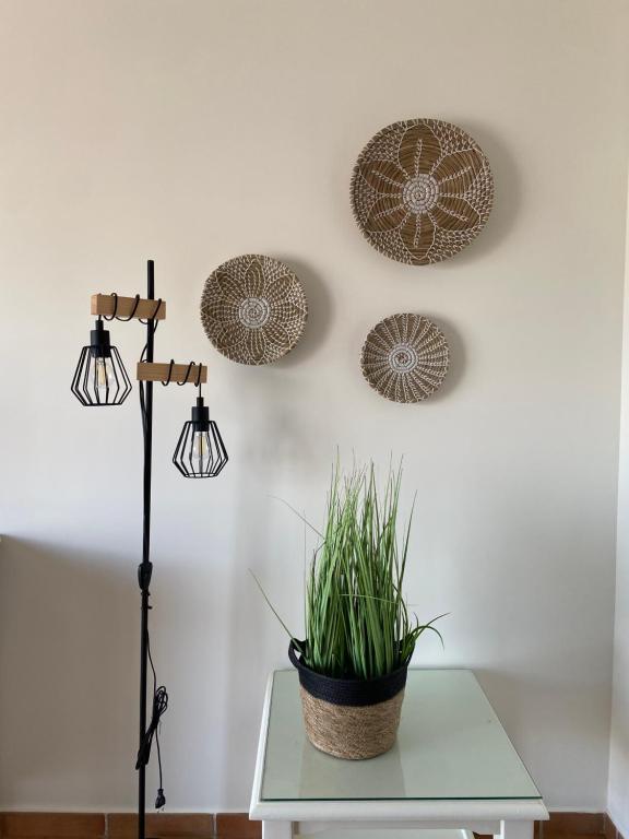 a table with a potted plant on a wall at Apartahotel Vistamar San José in San José