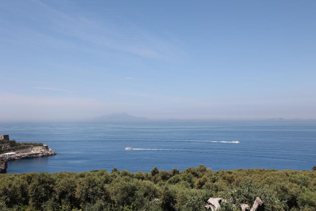 Villa Puolo - Sorrento - 9