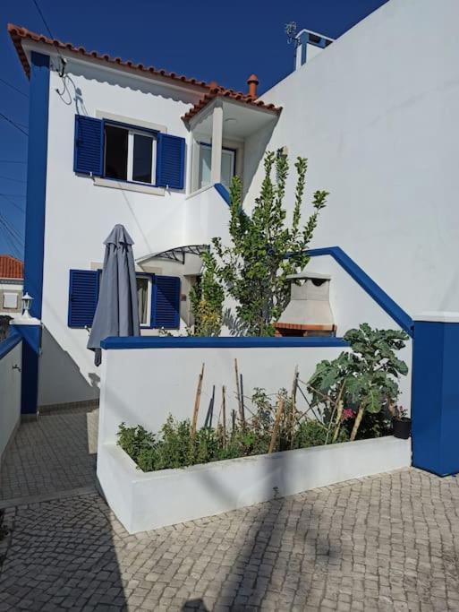 a white and blue building with plants in a planter at Lomba House, Almoçageme in Colares
