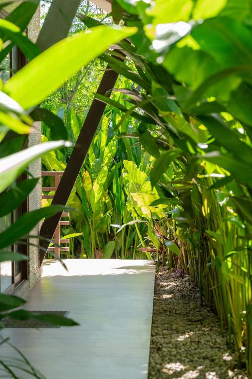 Zahrada ubytování La Fuga Siargao