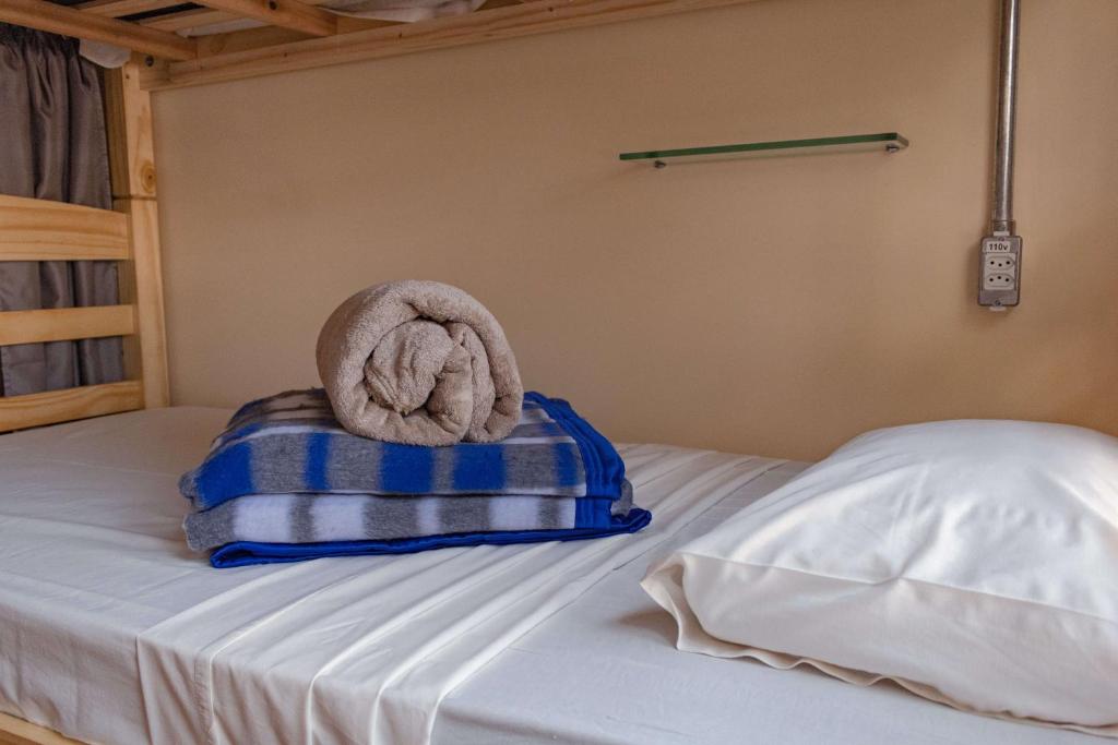 a stuffed animal is sitting on top of a bed at HOSTEL CUARTO in Sao Paulo