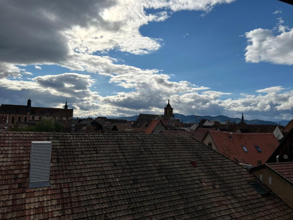 Colmar City Center - Appartement BELLE-VUE 4 étoiles – photo 18