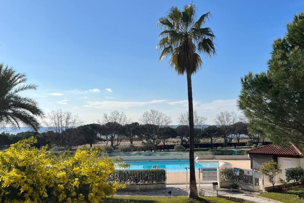 un palmier à côté d'une piscine dans l'établissement F2 cozy vue mer, piscine, parking, tout à pied !, à Antibes