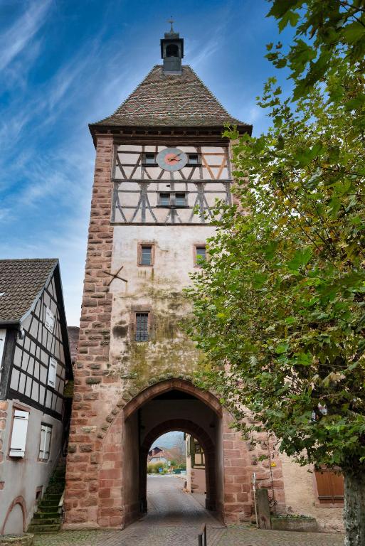 S'Hüsli - Maison vigneronne au coeur du vignoble – photo 44