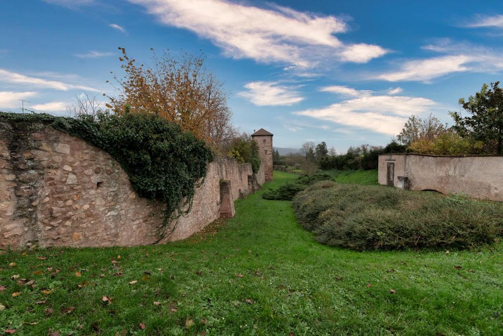 S'Hüsli - Maison vigneronne au coeur du vignoble – photo 41