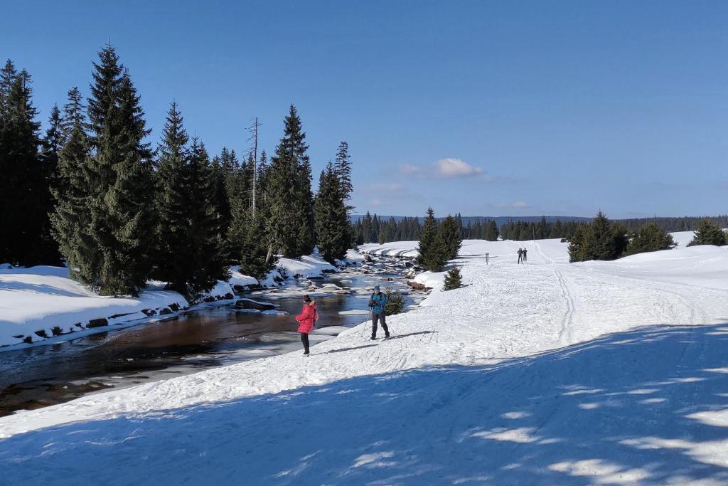 ENJOYHARRACHOV Atraktivní klidné studio 3 v centru Harrachova s parkováním, velkou terasou, Wifi-WLAN, SAT zdarma, možností dobíjení auta, výhledem do zahrady a na romantický kostelík v zimě