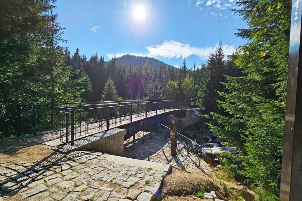 Příroda nedaleko apartmánu