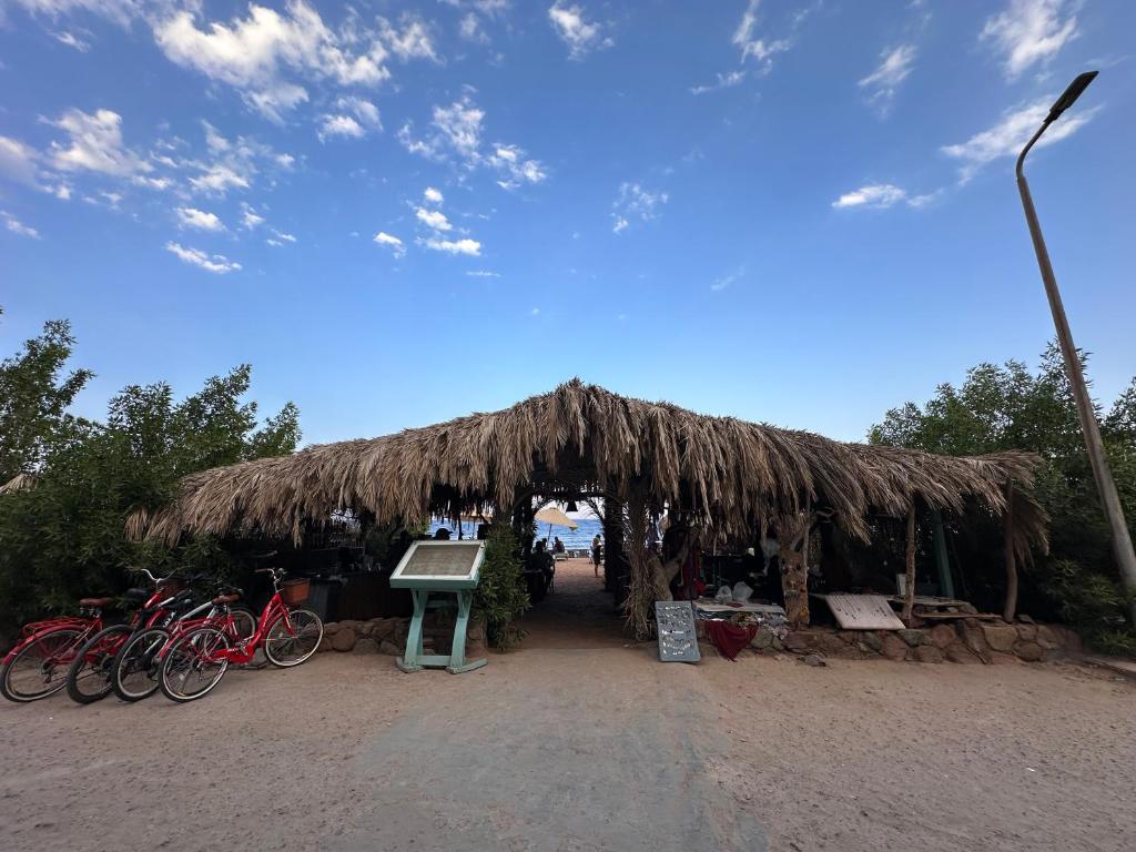 Fotografie z fotogalerie ubytování Amanda beach hotel v destinaci Dahab