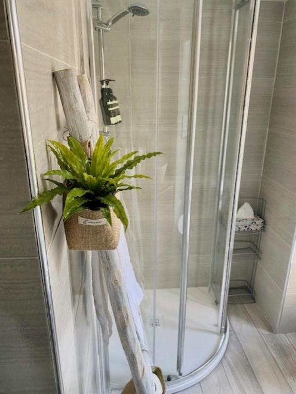 Milan Cozy Apartment Gambara - SanSiro - 17