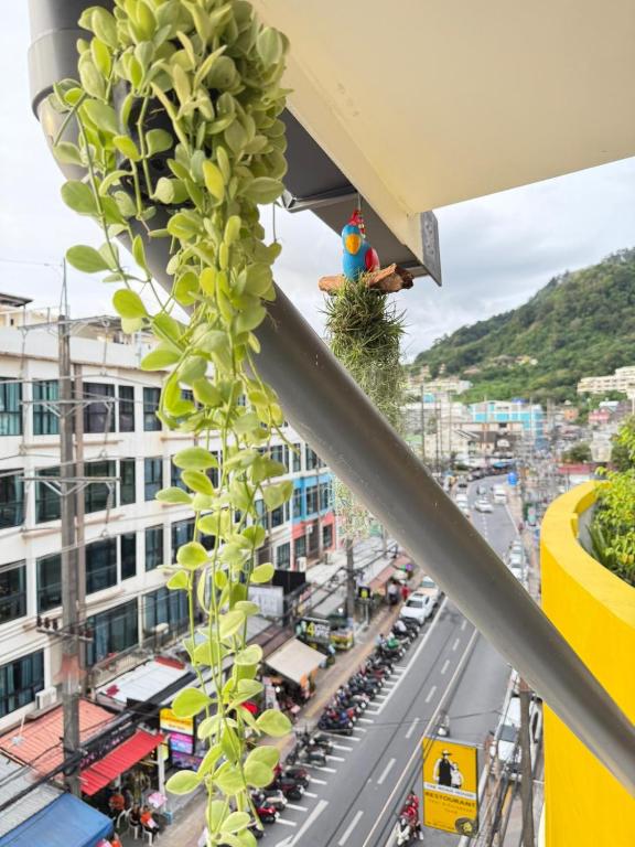 Heaven House Restro & Bar - Resim 22