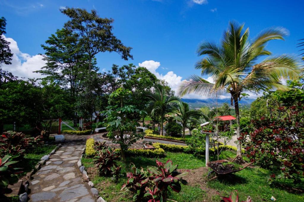 a path through a garden with palm trees at Villa Nelly in Guaduas