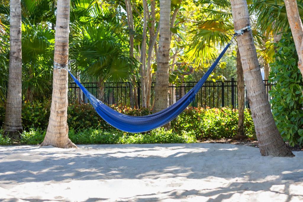 Zahrada ubytování Blue Flamingo Resort Key West