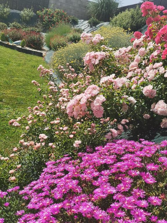 a garden filled with pink and purple flowers at "Notre Bastide" Maison et table d'hôtes traditionnelle et végétarienne, Piscine, jacuzzi, Clim, , à 5 mn de SARLAT in Marcillac-Saint-Quentin