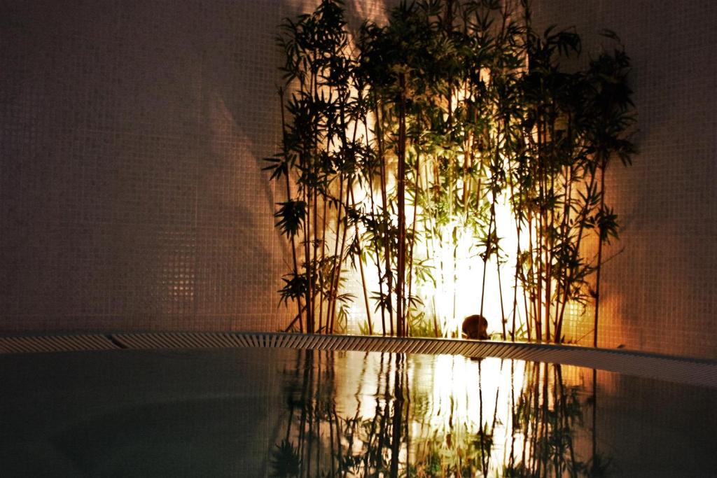 a person sitting in a swimming pool with plants at miKasa Agua Amarga & SPA in Agua Amarga