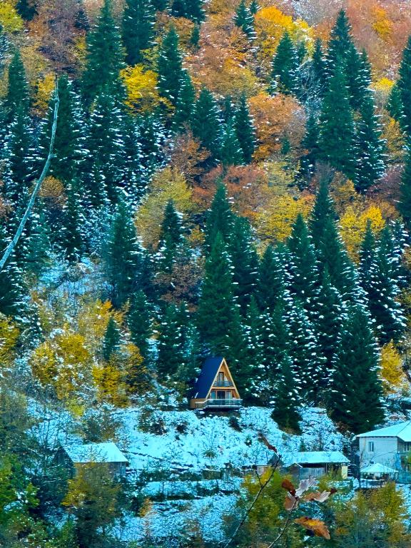 ლენტეხის მთის სასტუმრო - Lentekhi Mountain Inn - Casa De Una Habitación