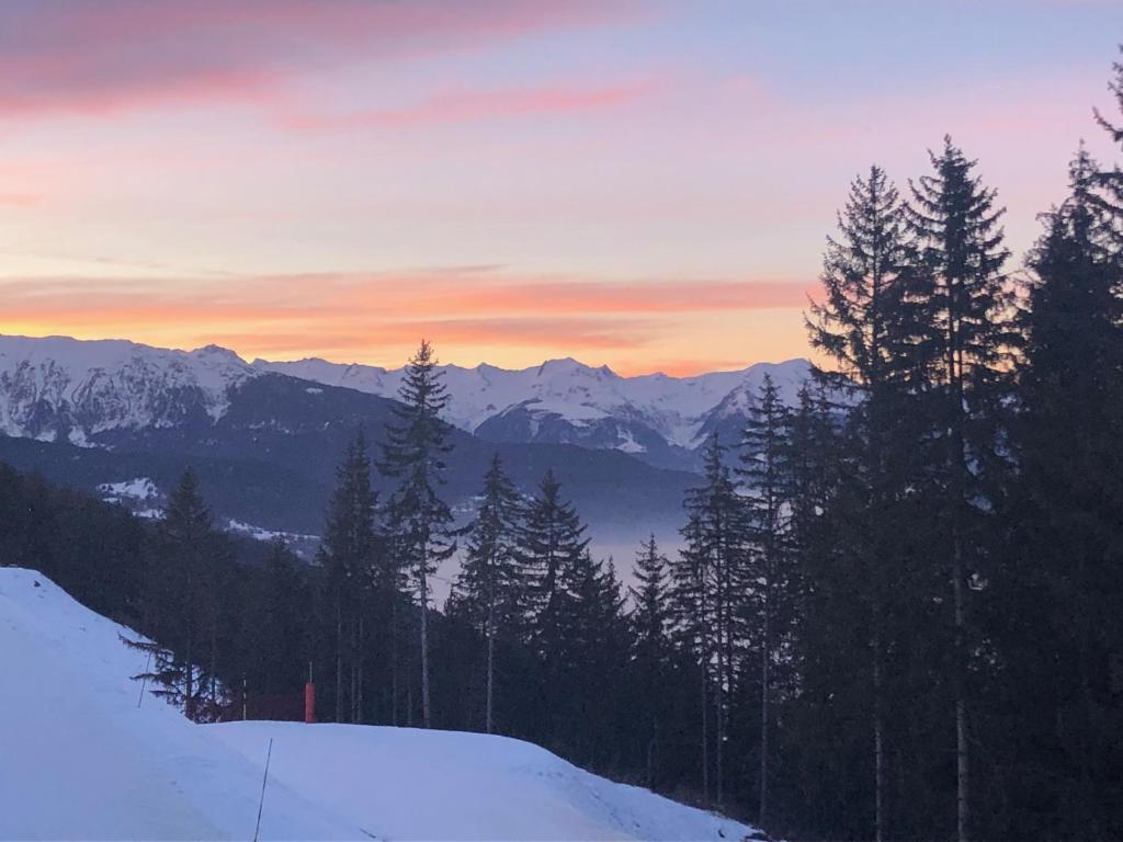 - une vue sur la montagne enneigée et arborée dans l'établissement Appartement de charme Courchevel 1550, à Courchevel