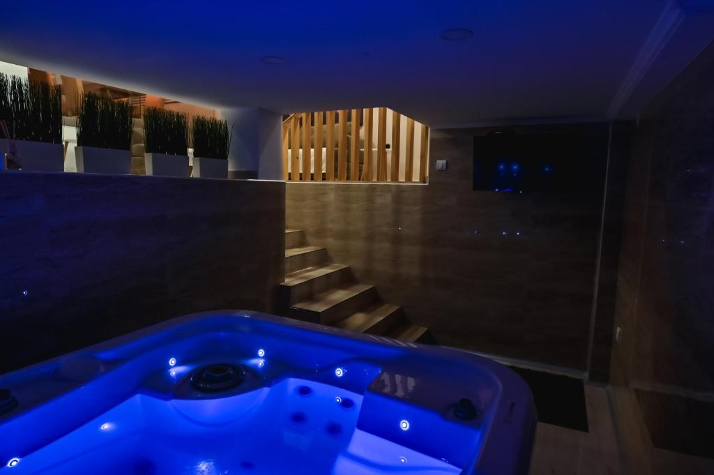 Fotografie z fotogalerie ubytování Level 1 Spa Apartman v destinaci Šabac