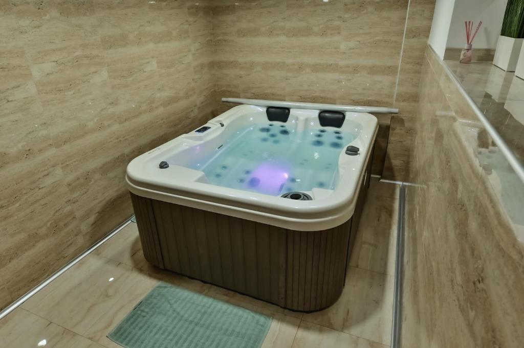 Fotografie z fotogalerie ubytování Level 1 Spa Apartman v destinaci Šabac