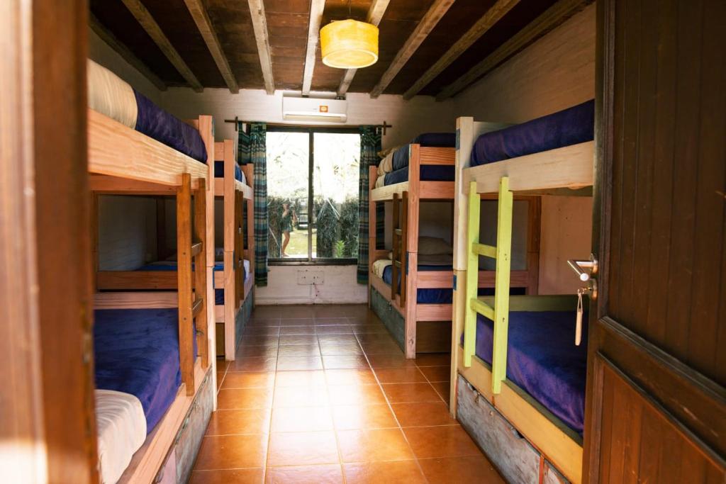 Giường tầng trong phòng chung tại La Quinta Hostel & Suites