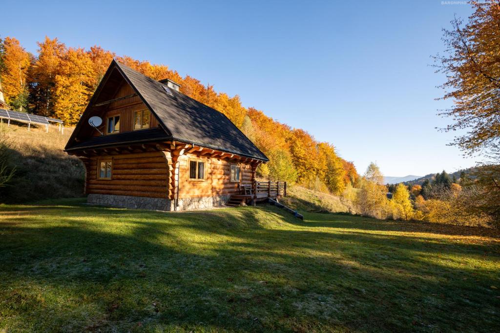 Príroda v okolí horskej chaty