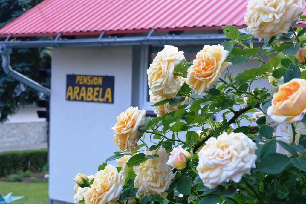 Zahrada ubytování Pension Arabela