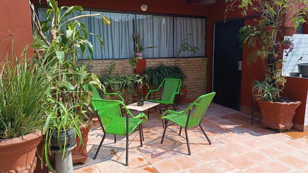 Zahrada ubytování Hostal Jardín de Luque