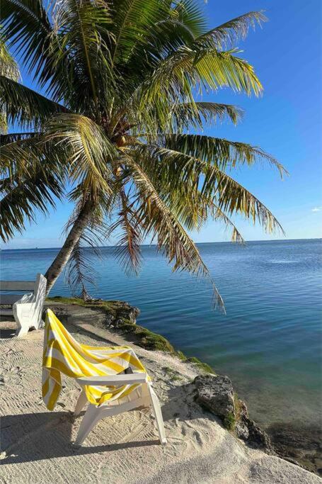 Maison entière Orama, plage privée, Torea - photo 4 - Raiatea, Polynésie