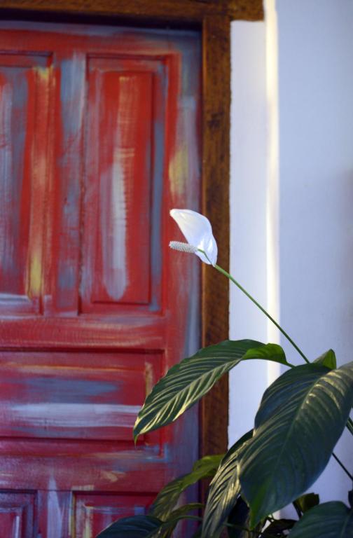 Fotografie z fotogalerie ubytování Art Hotel Aos Sinos Dos Anjos v destinaci Arraial d'Ajuda