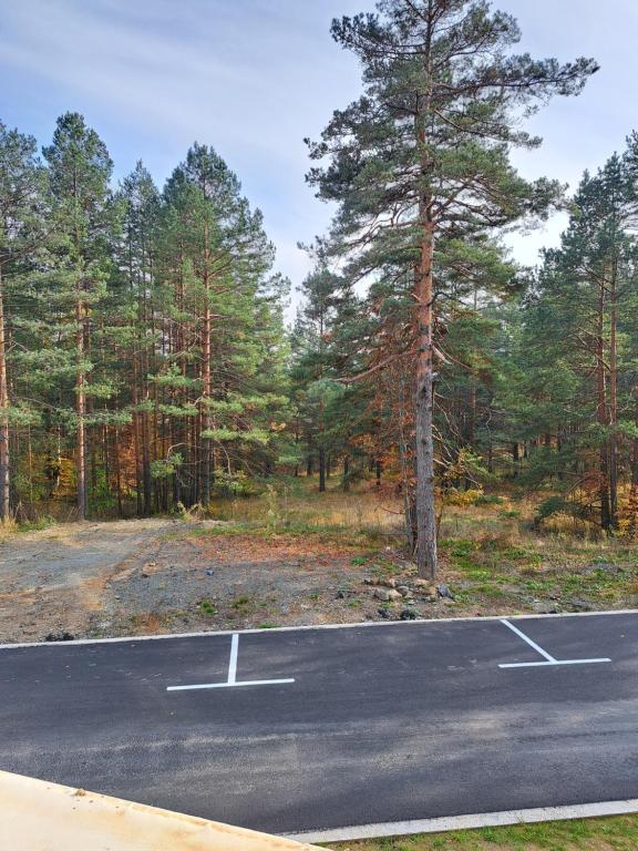 Paesaggio naturale nelle vicinanze dell'appartamento