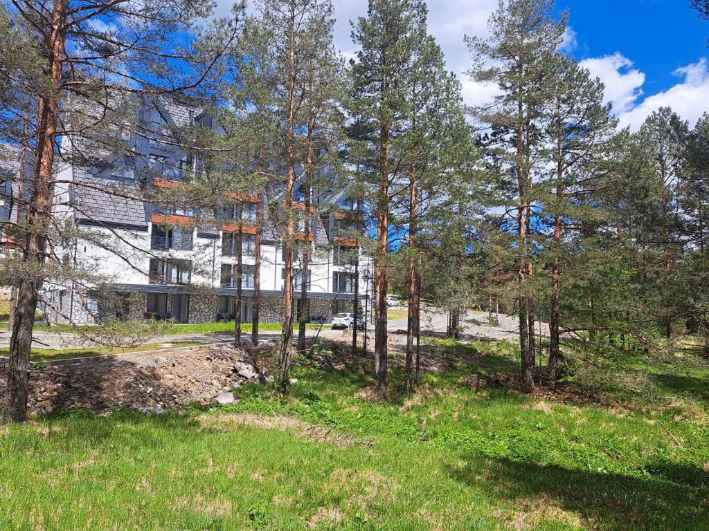 una vista esterna di un edificio con alberi in primo piano di zeleni bor Divcibare a Divčibare