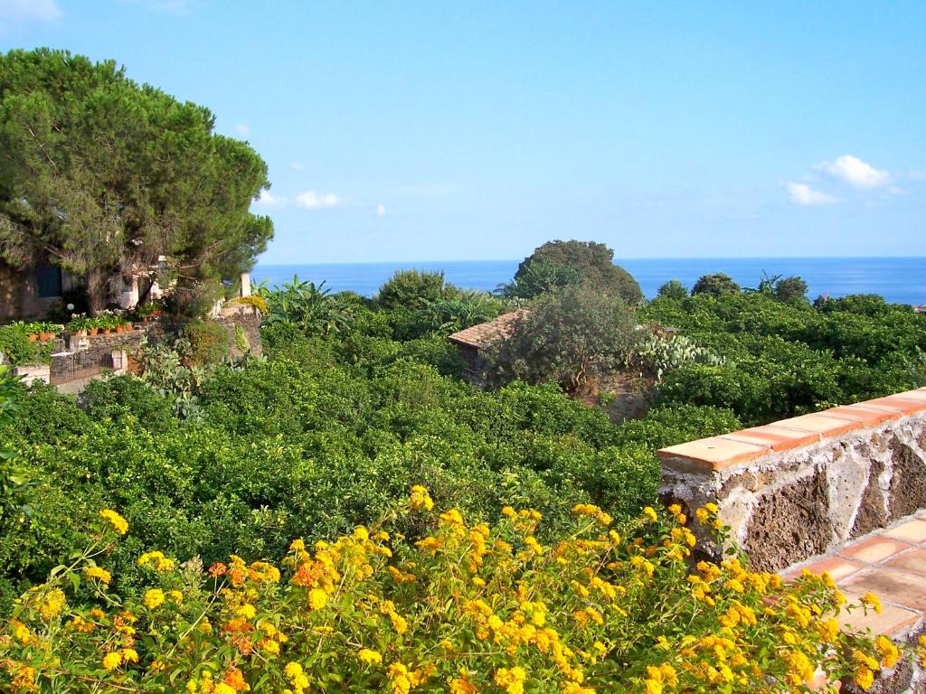 a view of the ocean from a garden with flowers at Il Limoneto Acireale in Acireale