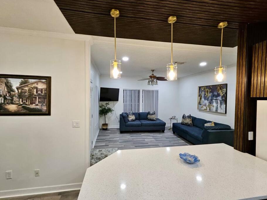 Χώρος καθιστικού στο Beautiful And Modern, Valrico Apartment