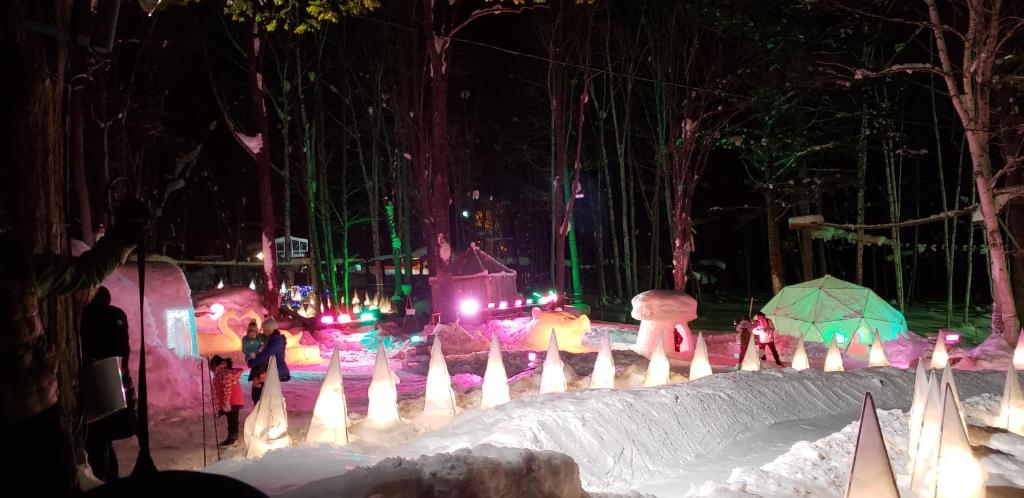 a christmas display with snow people and lights at furano Hokuseisanso I in Furano