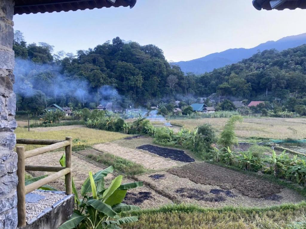 Phong cảnh thiên nhiên gần khách sạn