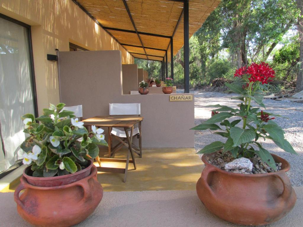 two large pots with plants in them next to a table at Las Cardas Posada in Belén