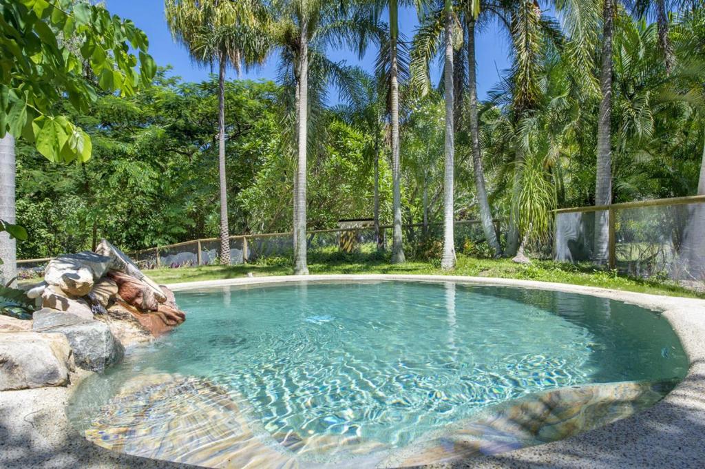 a swimming pool in a yard with palm trees at OurBonnieDoon in Arcadia