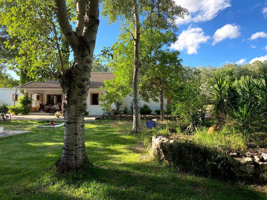 una casa con árboles en el patio en El Garrotal, en El Bosque