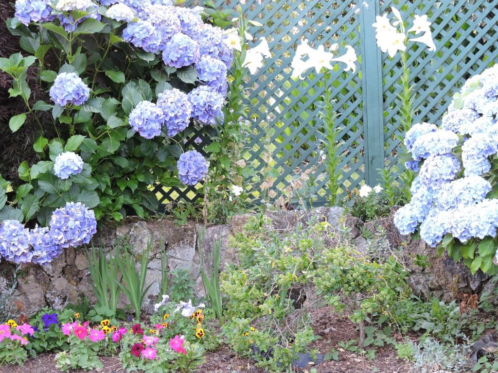 Maple Lodge Motel - Resim 21