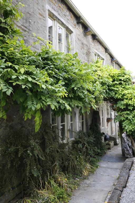 Zahrada ubytování Ashfield House