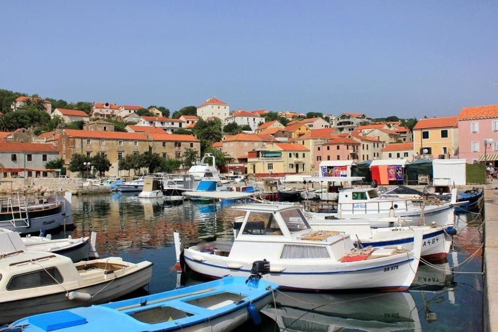Príroda v okolí apartmánu